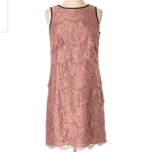 Ann Taylor Loft Mauve Tiered Lace Dress